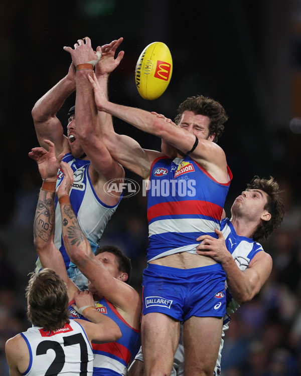 AFL 2024 Round 23 - Western Bulldogs v North Melbourne - A-53126855