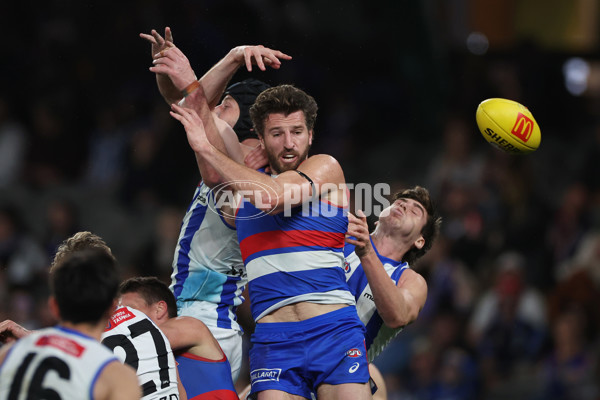 AFL 2024 Round 23 - Western Bulldogs v North Melbourne - A-53126857