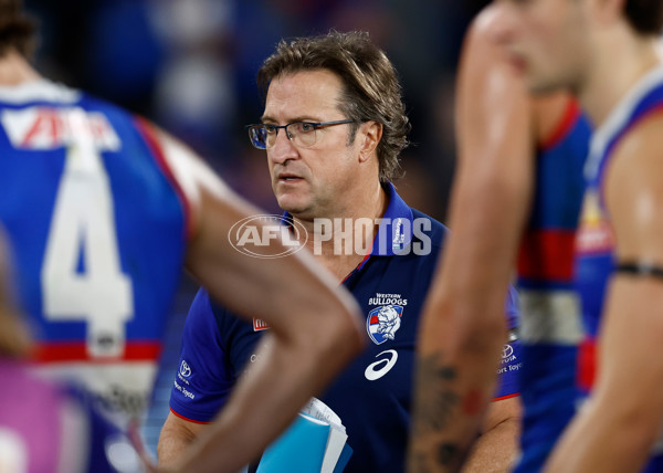 AFL 2024 Round 23 - Western Bulldogs v North Melbourne - A-53126874