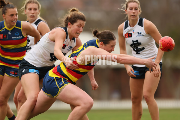 AFLW 2024 Practice Match - Adelaide v Carlton - A-53127731