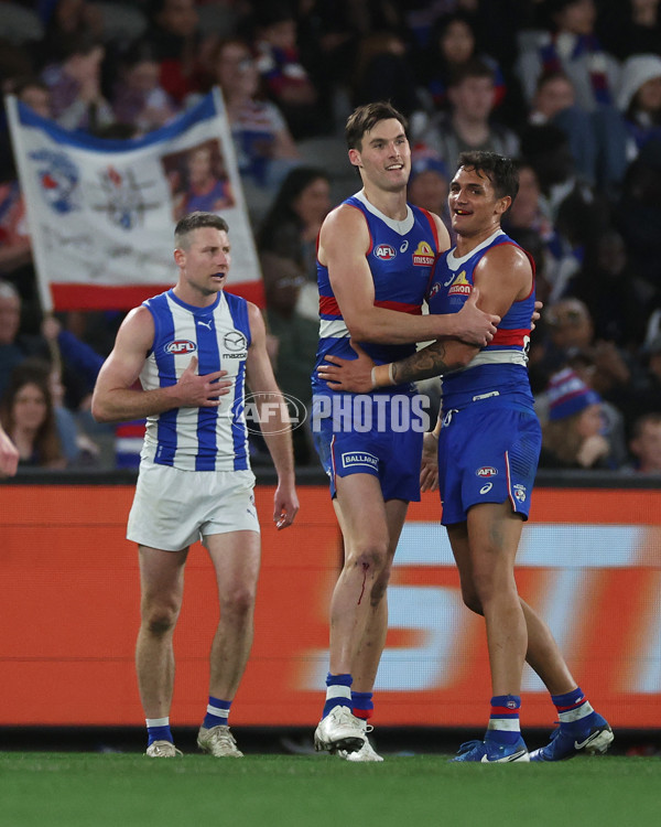 AFL 2024 Round 23 - Western Bulldogs v North Melbourne - A-53127740