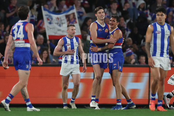 AFL 2024 Round 23 - Western Bulldogs v North Melbourne - A-53127741