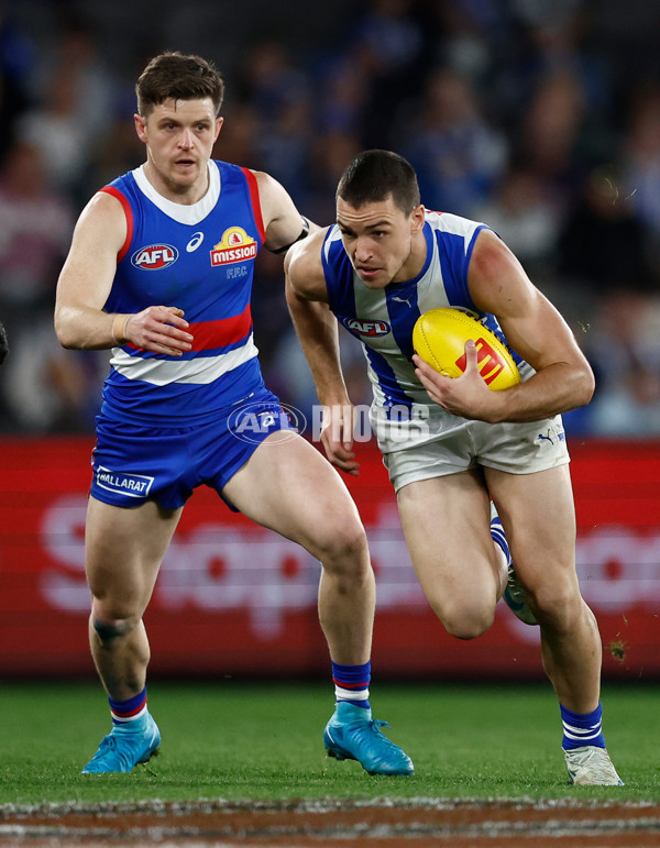 AFL 2024 Round 23 - Western Bulldogs v North Melbourne - A-53127765