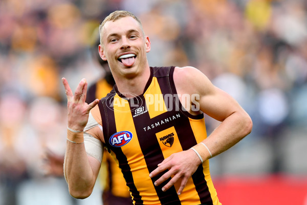 AFL 2024 Round 23 - Hawthorn v Richmond - A-53127781