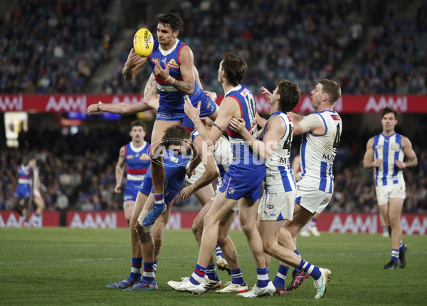 AFL 2024 Round 23 - Western Bulldogs v North Melbourne - A-53127782