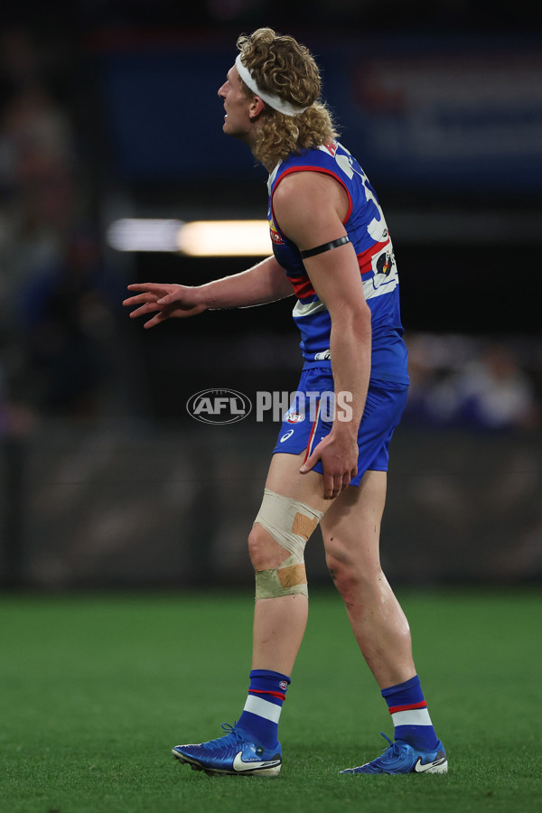 AFL 2024 Round 23 - Western Bulldogs v North Melbourne - A-53127800