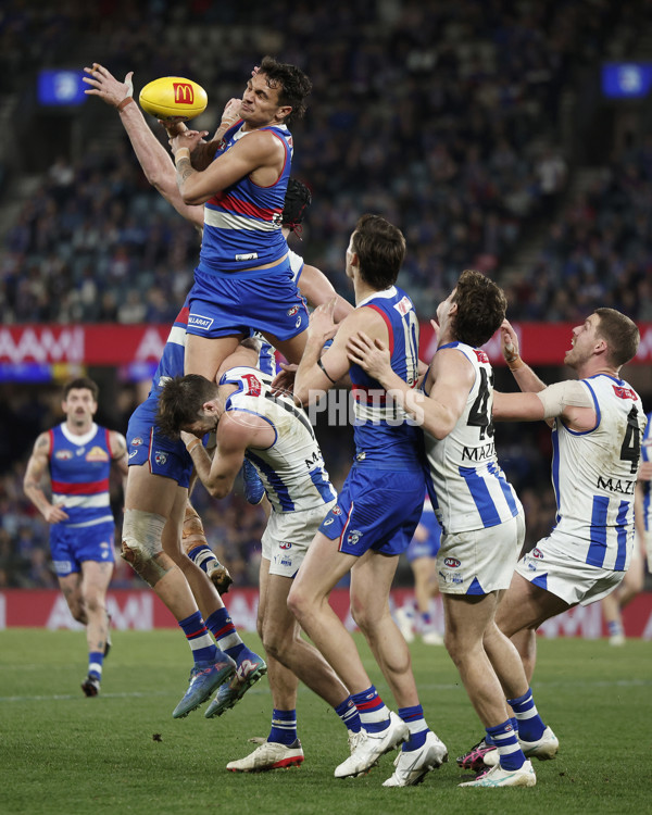 AFL 2024 Round 23 - Western Bulldogs v North Melbourne - A-53129442