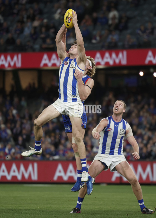 AFL 2024 Round 23 - Western Bulldogs v North Melbourne - A-53129446