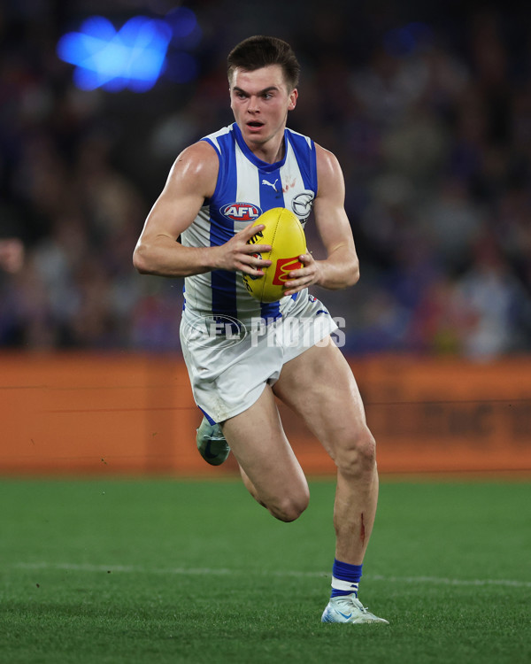 AFL 2024 Round 23 - Western Bulldogs v North Melbourne - A-53129448