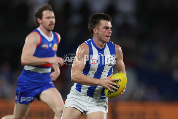 AFL 2024 Round 23 - Western Bulldogs v North Melbourne - A-53129449