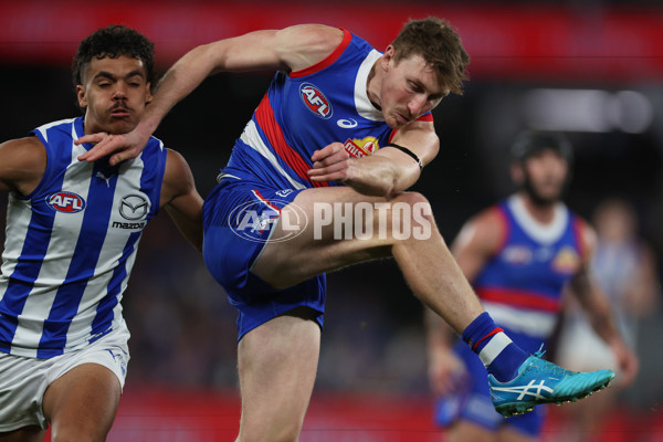 AFL 2024 Round 23 - Western Bulldogs v North Melbourne - A-53129468