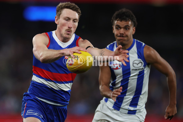 AFL 2024 Round 23 - Western Bulldogs v North Melbourne - A-53129472