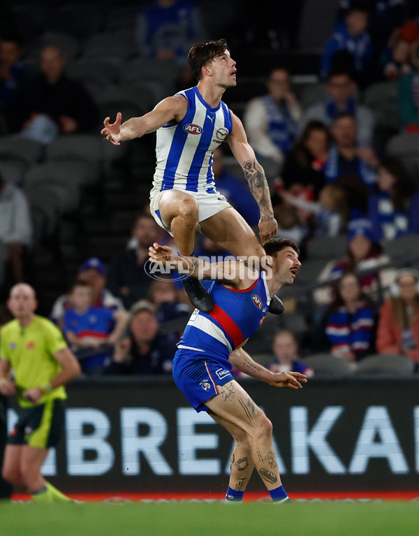 AFL 2024 Round 23 - Western Bulldogs v North Melbourne - A-53129486