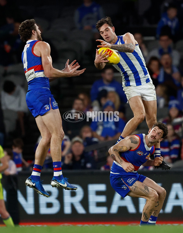 AFL 2024 Round 23 - Western Bulldogs v North Melbourne - A-53129513