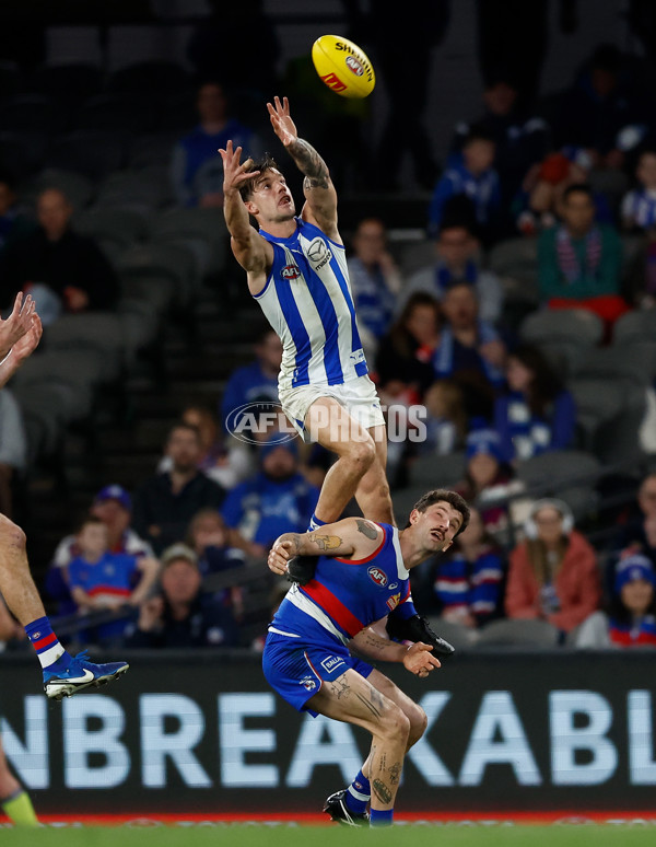 AFL 2024 Round 23 - Western Bulldogs v North Melbourne - A-53129515