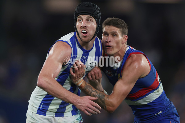 AFL 2024 Round 23 - Western Bulldogs v North Melbourne - A-53129518