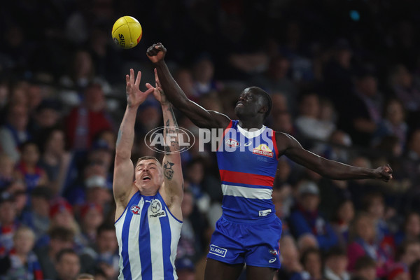 AFL 2024 Round 23 - Western Bulldogs v North Melbourne - A-53129520