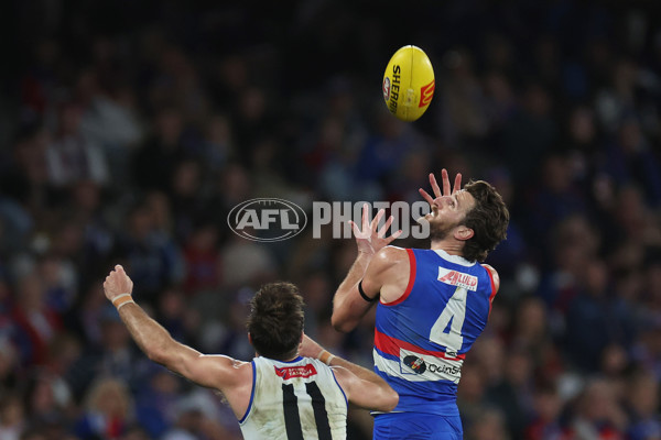 AFL 2024 Round 23 - Western Bulldogs v North Melbourne - A-53129525