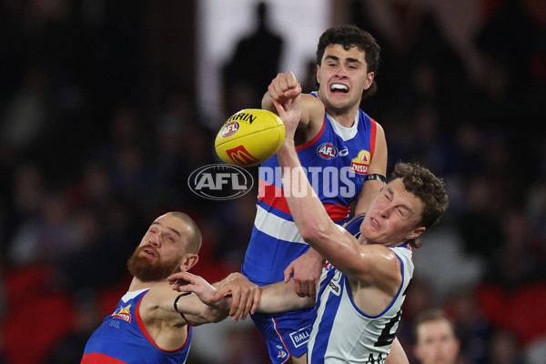 AFL 2024 Round 23 - Western Bulldogs v North Melbourne - A-53129526