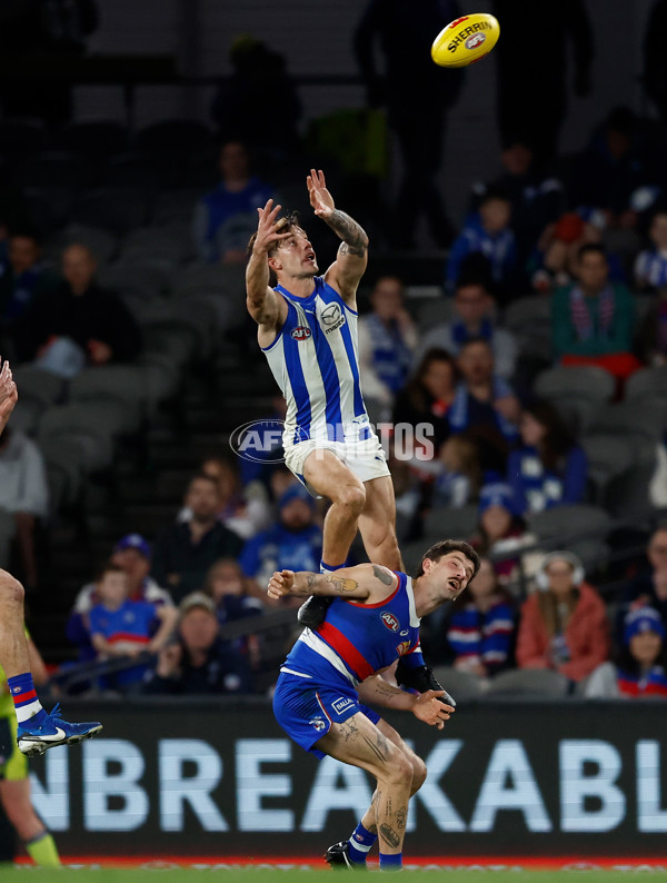 AFL 2024 Round 23 - Western Bulldogs v North Melbourne - A-53130464