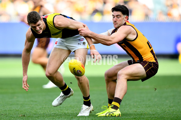 AFL 2024 Round 23 - Hawthorn v Richmond - A-53130481