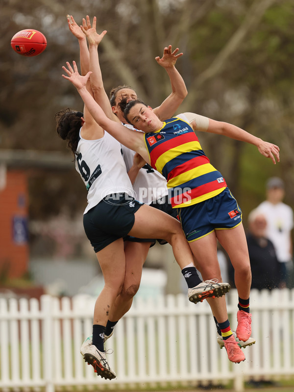 AFLW 2024 Practice Match - Adelaide v Carlton - A-53130487