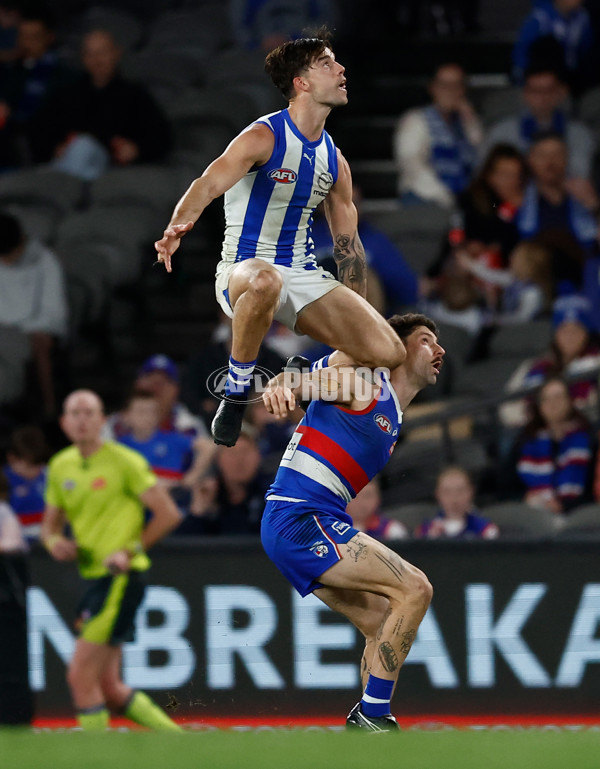 AFL 2024 Round 23 - Western Bulldogs v North Melbourne - A-53130491