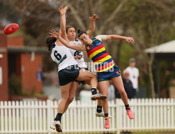 AFLW 2024 Practice Match - Adelaide v Carlton - A-53130498