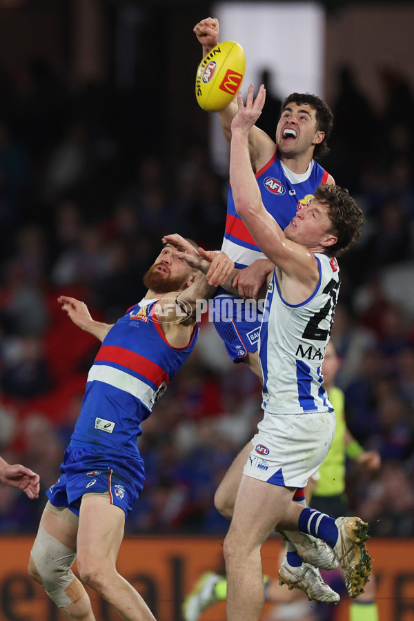 AFL 2024 Round 23 - Western Bulldogs v North Melbourne - A-53130503