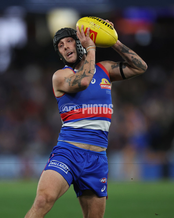 AFL 2024 Round 23 - Western Bulldogs v North Melbourne - A-53130506