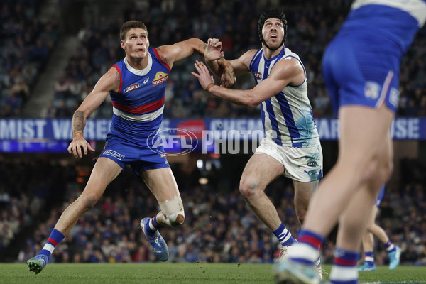 AFL 2024 Round 23 - Western Bulldogs v North Melbourne - A-53130518