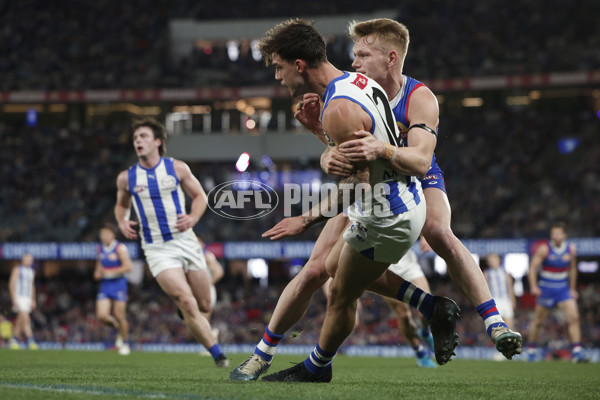 AFL 2024 Round 23 - Western Bulldogs v North Melbourne - A-53130521