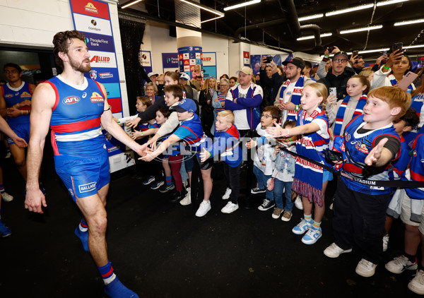 AFL 2024 Round 23 - Western Bulldogs v North Melbourne - A-53130526