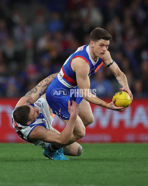 AFL 2024 Round 23 - Western Bulldogs v North Melbourne - A-53132364