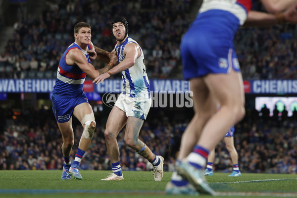 AFL 2024 Round 23 - Western Bulldogs v North Melbourne - A-53132368