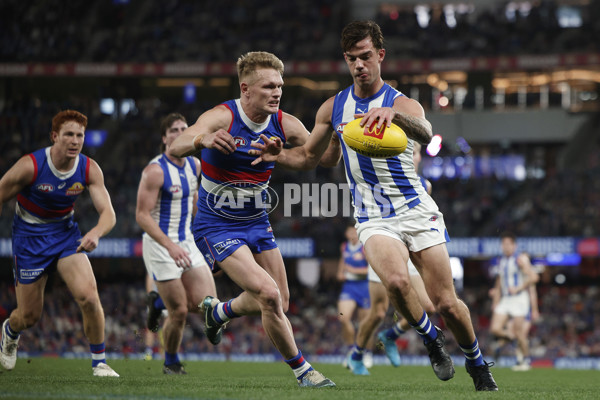 AFL 2024 Round 23 - Western Bulldogs v North Melbourne - A-53132370