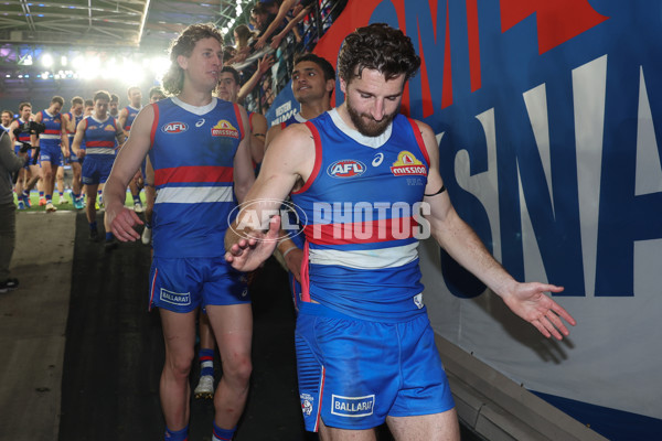 AFL 2024 Round 23 - Western Bulldogs v North Melbourne - A-53132392