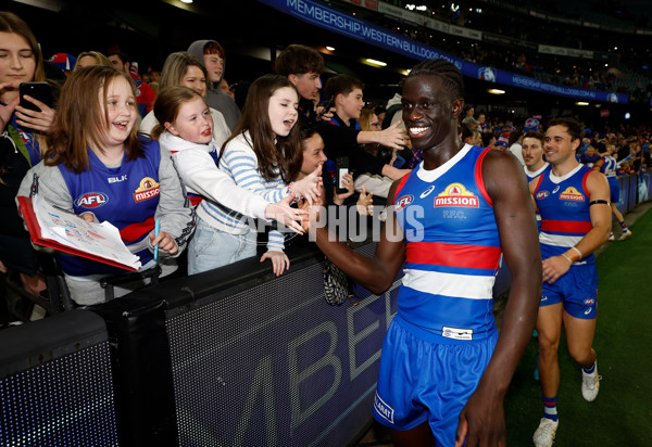 AFL 2024 Round 23 - Western Bulldogs v North Melbourne - A-53132394