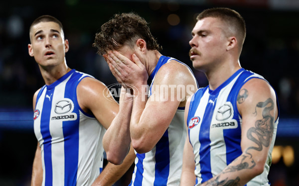 AFL 2024 Round 23 - Western Bulldogs v North Melbourne - A-53132396