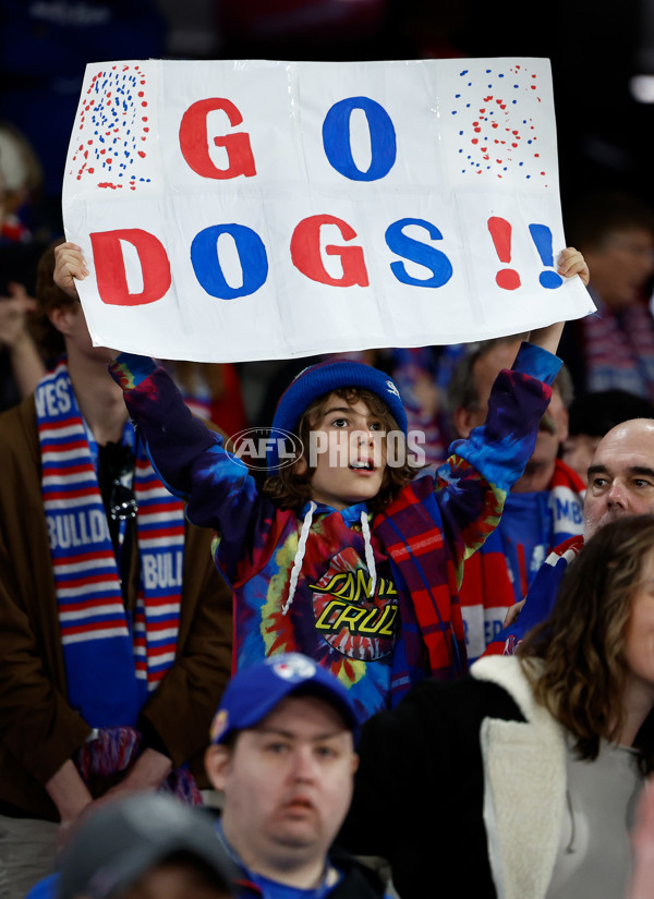 AFL 2024 Round 23 - Western Bulldogs v North Melbourne - A-53132402