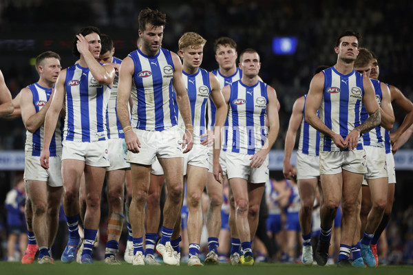 AFL 2024 Round 23 - Western Bulldogs v North Melbourne - A-53133252