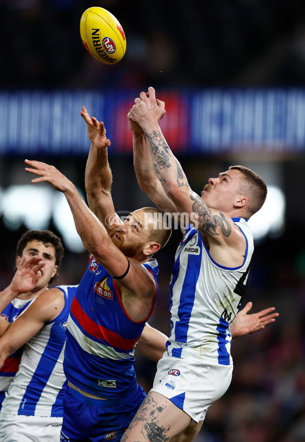 AFL 2024 Round 23 - Western Bulldogs v North Melbourne - A-53134790