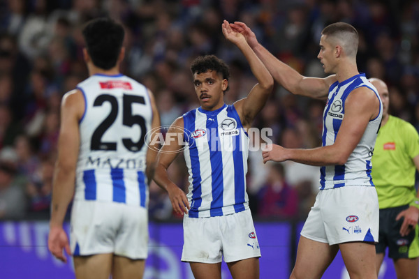 AFL 2024 Round 23 - Western Bulldogs v North Melbourne - A-53134801