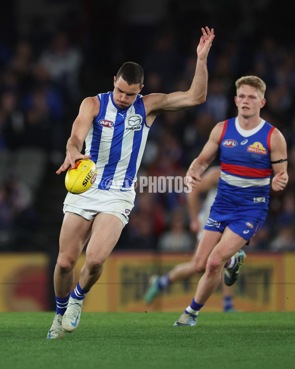 AFL 2024 Round 23 - Western Bulldogs v North Melbourne - A-53134803