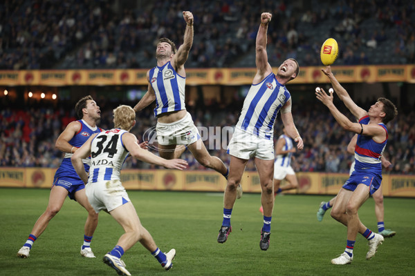 AFL 2024 Round 23 - Western Bulldogs v North Melbourne - A-53134812