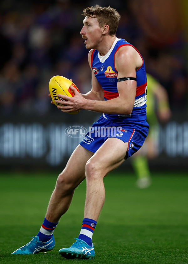 AFL 2024 Round 23 - Western Bulldogs v North Melbourne - A-53134846