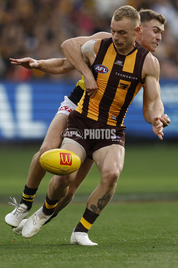 AFL 2024 Round 23 - Hawthorn v Richmond - A-53134854