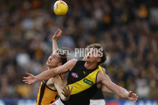 AFL 2024 Round 23 - Hawthorn v Richmond - A-53134856