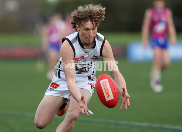 Coates League Boys 2024 Round 18 - Oakleigh v GWV Rebels - A-53134880