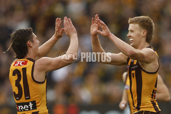 AFL 2024 Round 23 - Hawthorn v Richmond - A-53135712